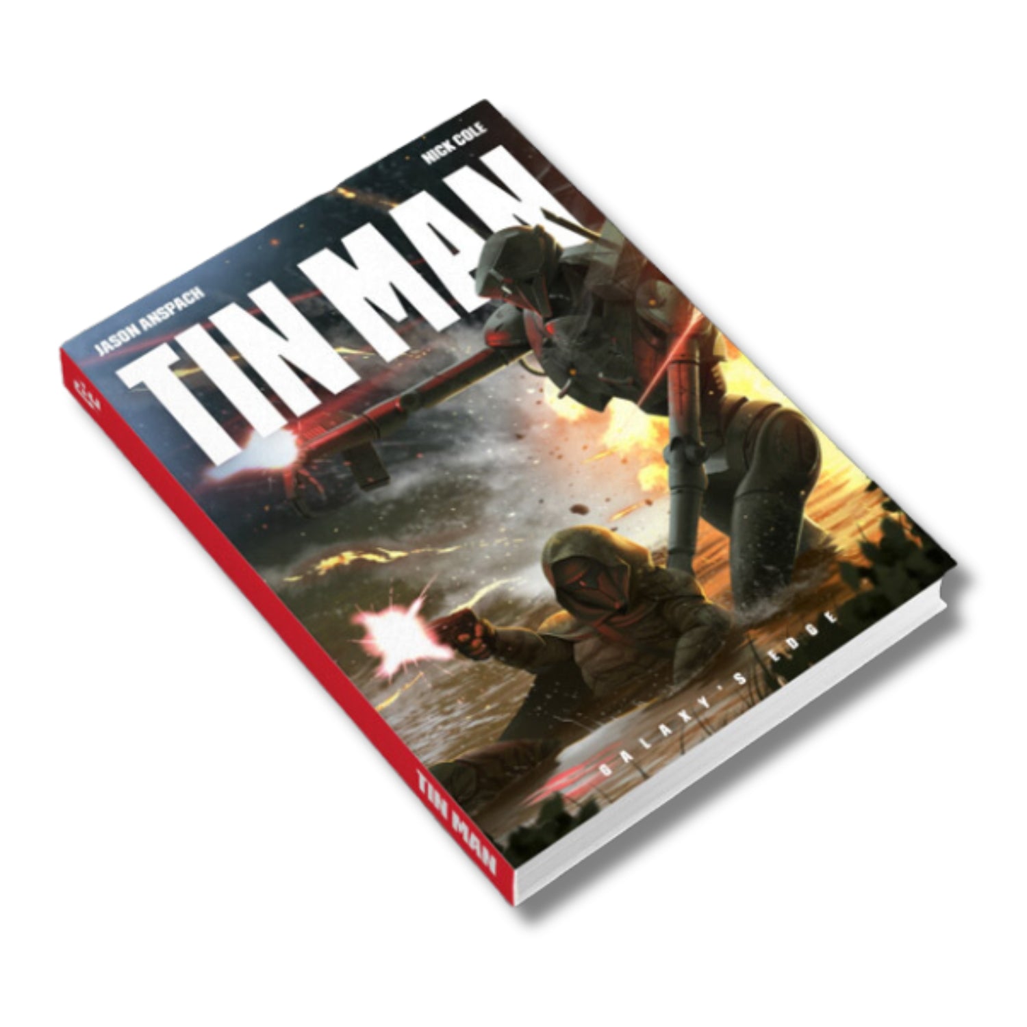 Tin Man First Edition Paperback